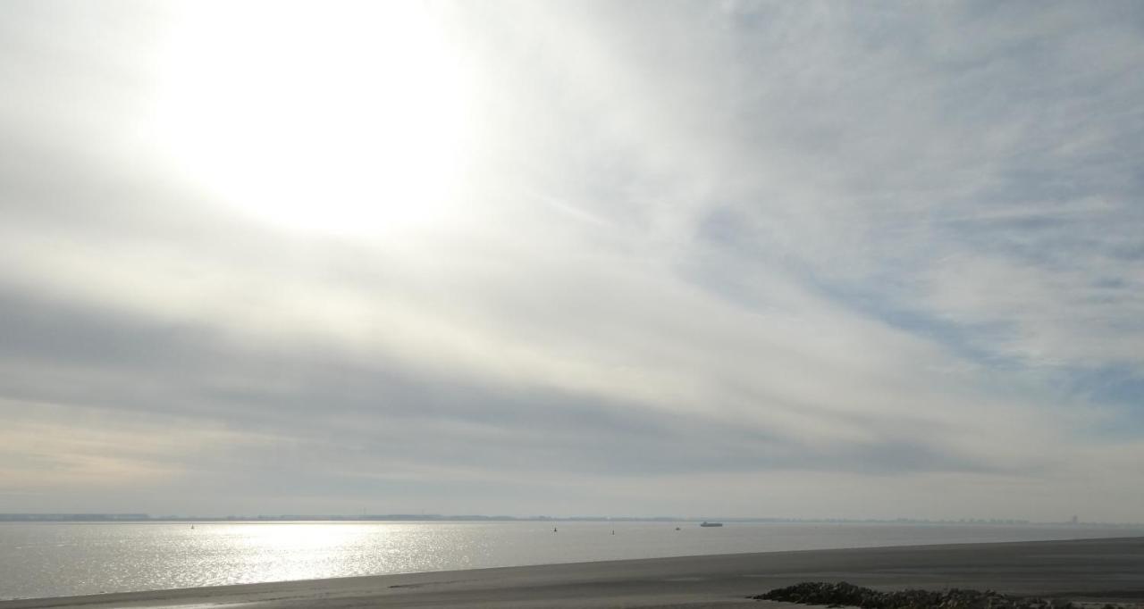 Het Scheldechalet Villa Baarland Eksteriør bilde